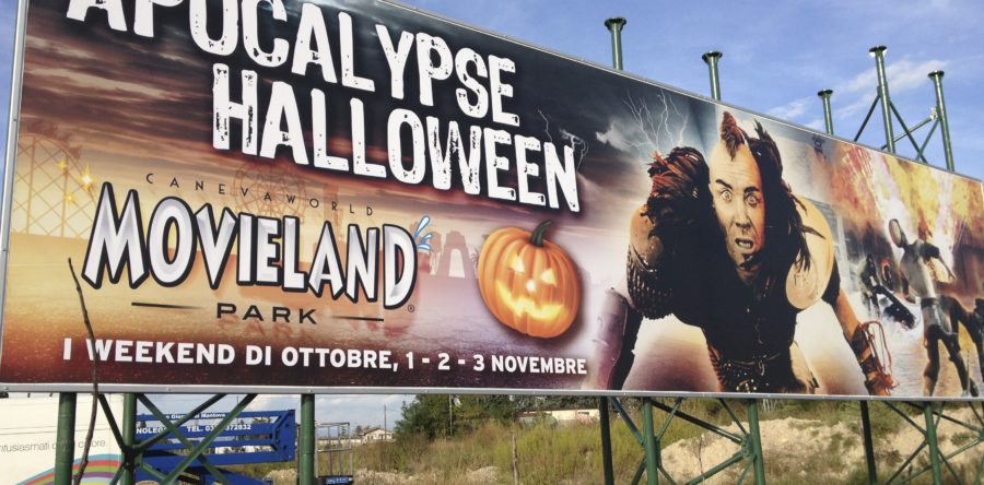 Stampe Maxiteli 20×4  mt