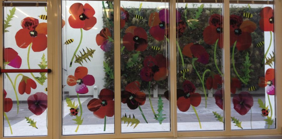 Stampa Adesivi in PVC