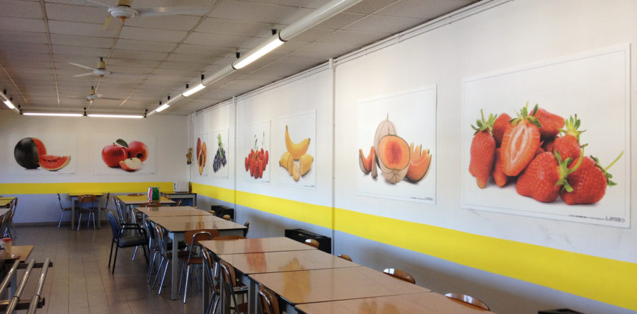 Fotoquadri per mensa aziendale