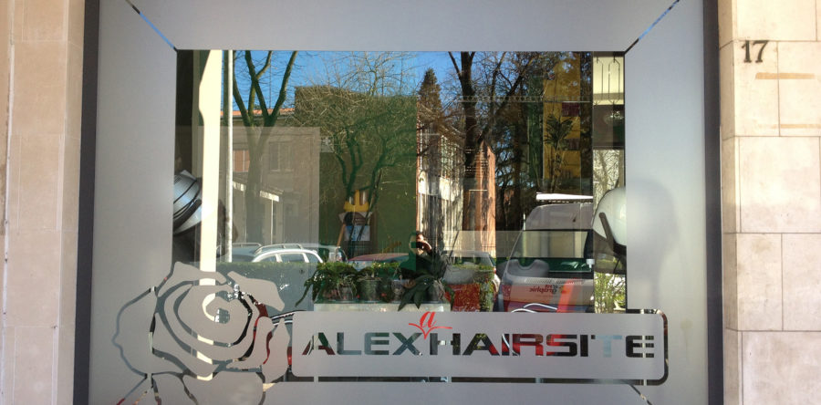 Stampa Adesivi per Vetrine