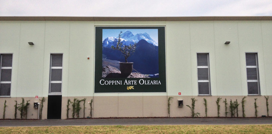 Stampa Maxitelo prospicente A1