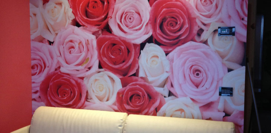 Tematizzazione suite Albergo di Brenzone (VR)